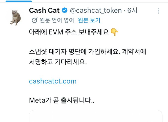 A Twitter post from Cash Cat (@cashcat_token) in Korean requests users to send an EVM address and warns about spam, with a link to cashcatct.com.