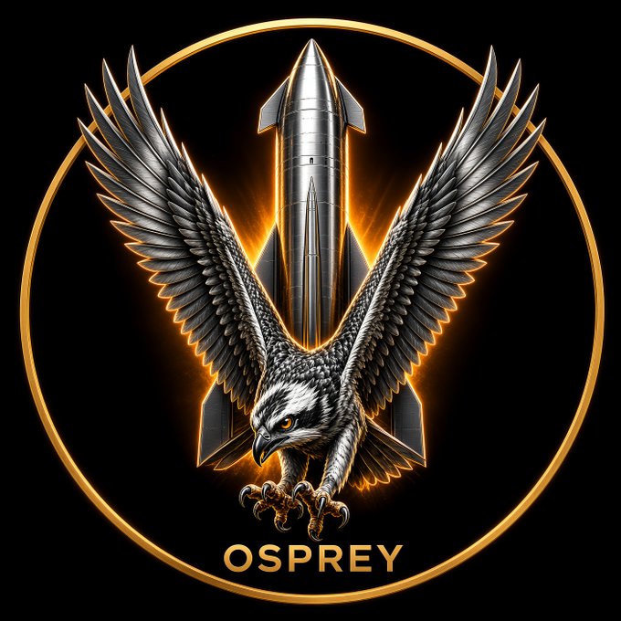 A digital emblem featuring a detailed silver osprey with spread wings positioned in front of a silver rocket, encircled by a glowing gold ring with the word 'OSPREY' below.