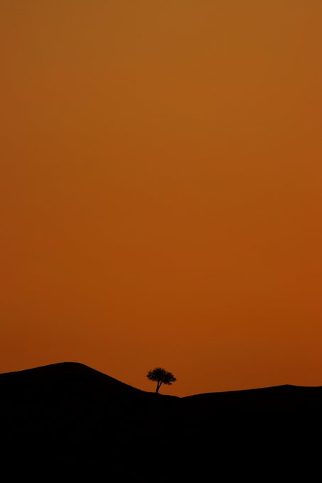 A silhouette of a solitary tree atop a dark ridge set against a vibrant, gradient orange sky at dusk or dawn.