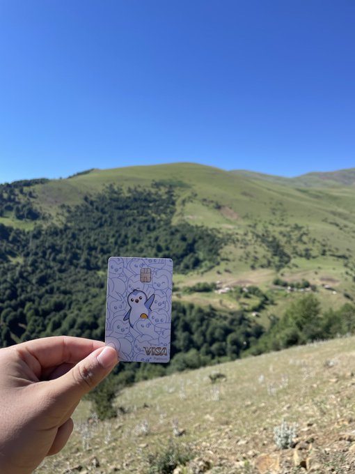A hand holds a Visa card with a penguin mascot design against a scenic backdrop of rolling green hills under a clear blue sky.