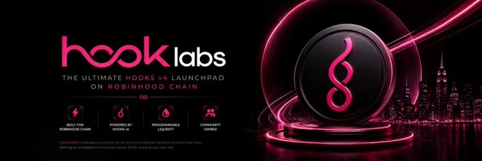 A promotional banner for "HookLabs," described as "The Ultimate Hook v4 Launchpad on Robinhood Chain," features a glowing pink and black circular logo with an infinity symbol alongside a cityscape, highlighting key features: "Built for Robinhood Chain," "Powered by Hook v4," "Programmable Liquidity," and "Community Owned." The image visually reinforces the post's message by presenting HookLabs as a comprehensive, all-in-one platform that consolidates token creation, tracking, and market navigation into a single ecosystem.