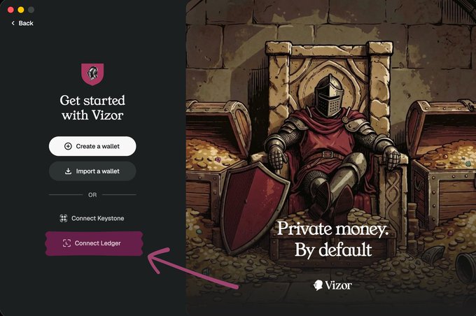 A welcome screen for the Vizor wallet app featuring a medieval knight illustration with the text "Private money. By default," showing options to create or import a wallet, or connect Keystone or Ledger.