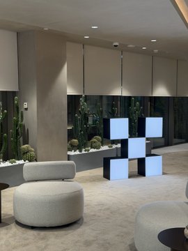 The image shows a spacious room with various furniture pieces, including two chairs - one gray chair and another black chair. There are also several potted plants placed throughout the space, adding greenery and life to the area. The room appears to be designed for relaxation or social gatherings, as it is filled with seating options and decorative elements such as cacti and other plants.