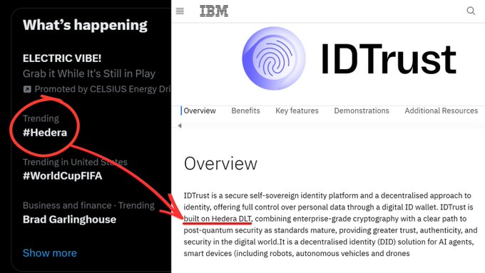 The image shows an IBM webpage featuring IDTrust, a secure self-sovereign identity platform built on Hedera DLT, alongside a Twitter "What's happening" sidebar where "#Hedera" is circled and an arrow points to the IBM page. The caption highlights that the IDTrust listing is self-reported by companies and not validated by IBM, clarifying there is no official partnership or integration between IBM and Hedera—contrary to how the original post might have implied.