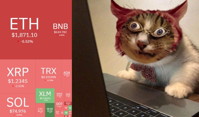 The image features a cat wearing a red hat with its face peeking out of an open laptop computer screen. The cat appears to be staring at the camera, giving off a playful or curious vibe. The background of the image includes text that reads "Eth", "BNB", and "XRP". This suggests that the scene might be related to cryptocurrency trading or market analysis.