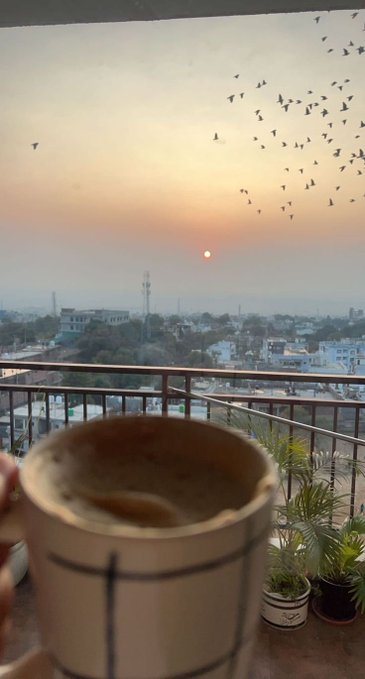A first-person view of a hand holding a mug of coffee on a balcony at sunset, with a flock of birds flying across the sky above a cityscape.