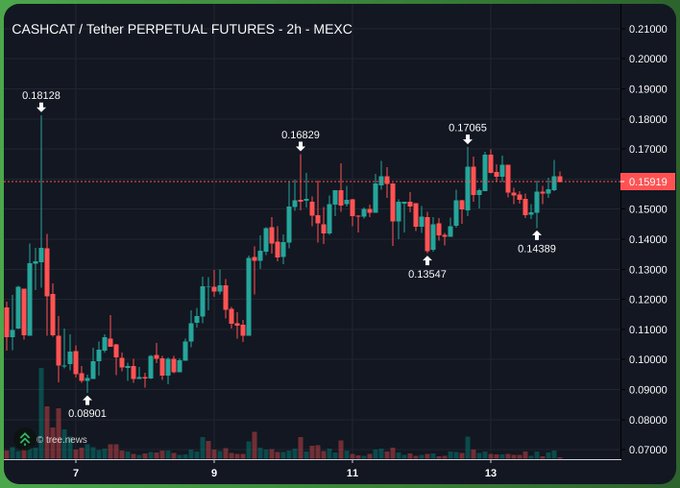 A 2-hour candlestick chart of CASHCAT/Tether Perpetual Futures on MEXC shows the token's price climbing from a low of 0.08901 to a recent high of 0.17065, currently trading around 0.15919, illustrating the strong upward momentum referenced in the post about growing CASHCAT adoption and potential mainstream exposure through Robinhood.