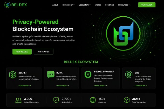 Screenshot of the Beldex website homepage advertising a 'Privacy-Powered Blockchain Ecosystem' with products including BelNet, BChat, Beldex Browser, and BNS, noting 3,200+ active masternodes.