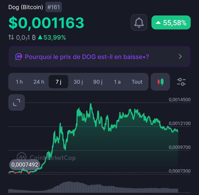 A CoinMarketCap chart shows Dogecoin (DOG) ranked #161 at $0.001163, up 55.58% over 7 days with a visible price surge from $0.0007492. The post highlights DOG as one of several runes/meme tokens the user finds bullish, and the chart's strong weekly green candle visually supports that bullish sentiment for DOG.