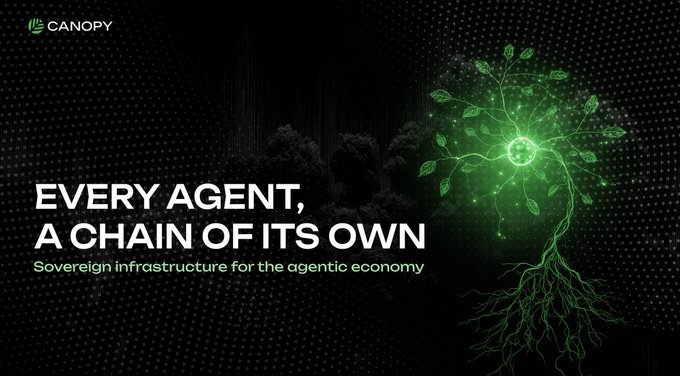 A promotional graphic for Canopy reads 'EVERY AGENT, A CHAIN OF ITS OWN - Sovereign infrastructure for the agentic economy,' featuring a glowing green tree-like digital illustration on a black background.
