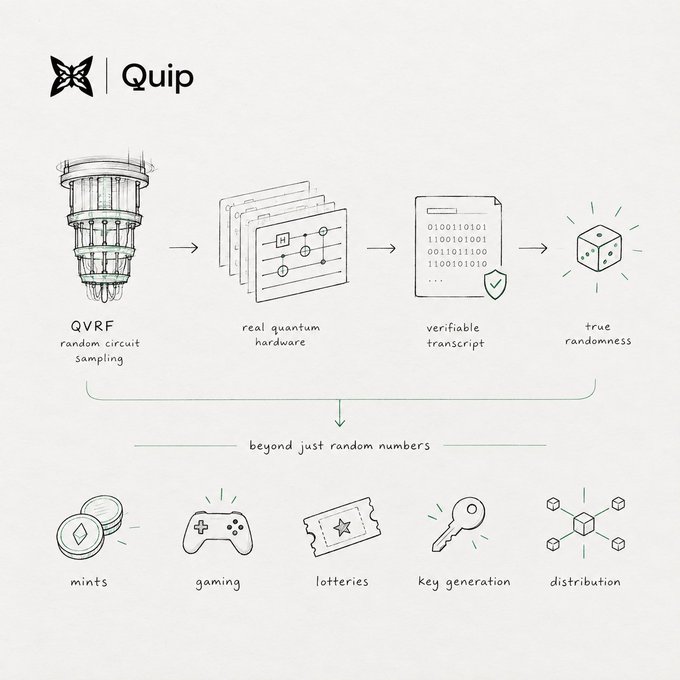 An infographic titled 'Quip' illustrating a quantum randomness process: QVRF random circuit sampling → real quantum hardware → verifiable transcript → true randomness, with applications including mints, gaming, lotteries, key generation, and distribution.