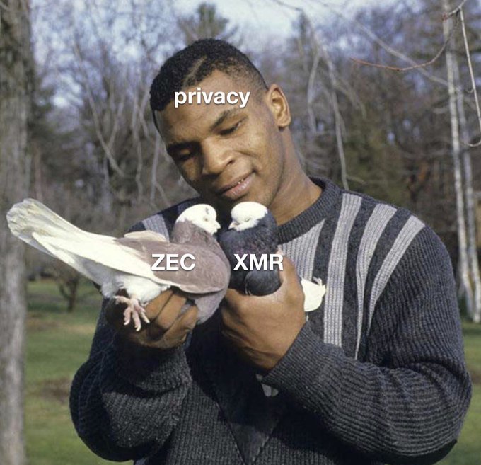 A meme image showing Mike Tyson smiling while holding two pigeons labeled 'ZEC' and 'XMR' as privacy cryptocurrencies, with the word 'privacy' overlaid on his face.