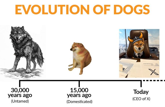 The image, titled "EVOLUTION OF DOGS," humorously traces a three-stage timeline: an untamed wolf from 30,000 years ago, a domesticated Shiba Inu from 15,000 years ago, and a modern Shiba Inu dressed as a businessman in a suit, tie, and Viking helmet labeled as the "CEO of X"—poking fun at how dogs have "evolved" into corporate leadership, tying into the post's joke about coming "a looong way."