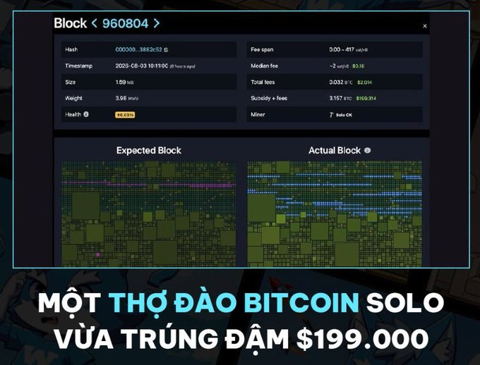 A screenshot of Bitcoin Block #960804 shows a solo miner from ckpool solving the block on October 8, 2025, with a health rating of 46.05% and earning approximately $199,000 (around 3.157 BTC) as displayed at the bottom of the image.