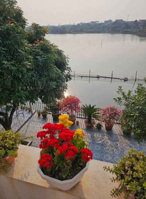 A scenic view from a tiled balcony decorated with colorful potted flowers (red, yellow, pink) overlooking a calm river with a footbridge and distant buildings at dusk.