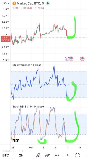 A TradingView chart displays 'Market Cap BTC, $' showing a price of '1.69T' with a green downward arrow indicating '-29.95B (-1.74%)', along with 'RSI divergence 14 close' and 'Stoch RSI 3 3 14 14 close' indicators below.