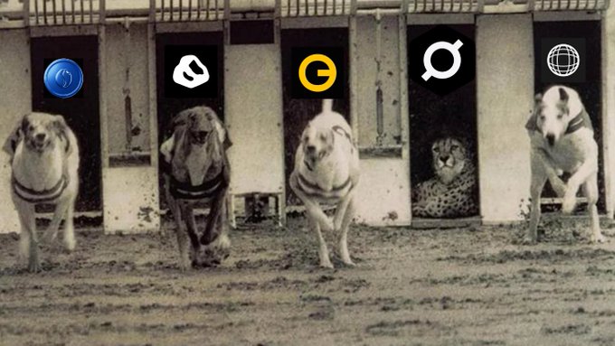 The image features a group of five dogs, each with different colored coats, running through a gate or opening in a row. The first dog has a black and white coat, followed by a brown and white one, then a tan and white one, and finally a gray and white one. In the background, there is a cat sitting on top of a wall, watching the dogs as they pass by.