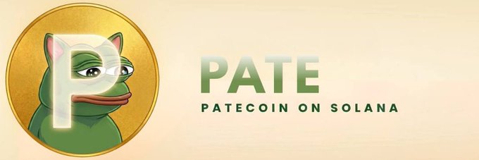 A gold coin featuring the Pepe frog mascot with "PATE" branding is displayed alongside text reading "PATE - PATECOIN ON SOLANA," promoting the meme coin as a Solana-based crypto project worth watching in its early stages.