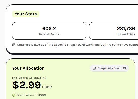 A stats dashboard showing 'Your Stats' with 606.2 Network Points and 281,786 Uptime Points, and 'Your Allocation' showing an estimated $2.99 USDC distribution based on the Epoch 19 snapshot.