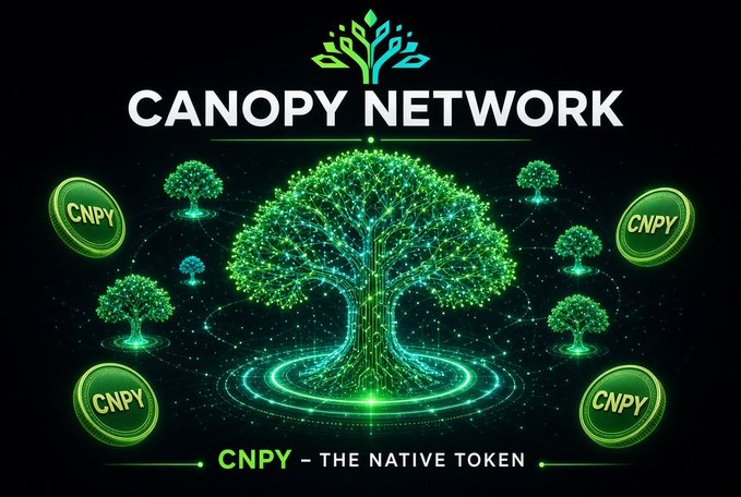 A promotional graphic for 'CANOPY NETWORK' featuring a glowing green digital tree with smaller connected trees and 'CNPY' tokens, labeled as 'THE NATIVE TOKEN.'
