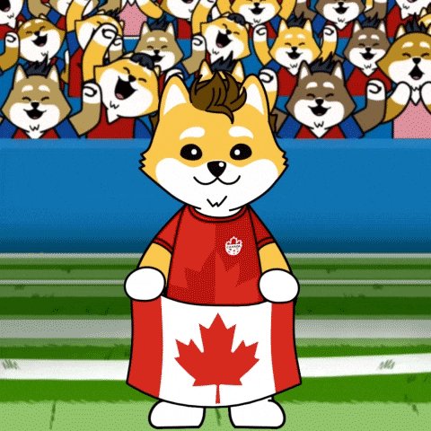 ikidogami, a cartoon character with brown and white fur, holds a red maple leaf flag on a green field, surrounded by a crowd of cheering fans.