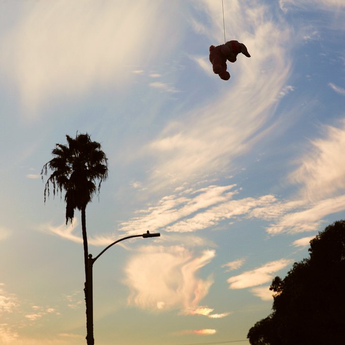 A silhouette of a palm tree and streetlight stands against a blue sky with wispy clouds, while a red object appears to be flying in the upper right.