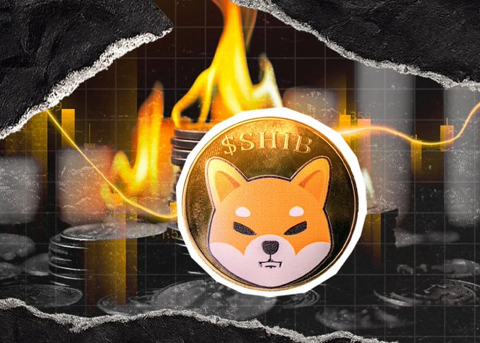 A Shiba Inu cryptocurrency coin featuring '$SHIB' text displayed against a dramatic background of flames, torn paper edges, and stacked coins with a faint stock chart overlay.