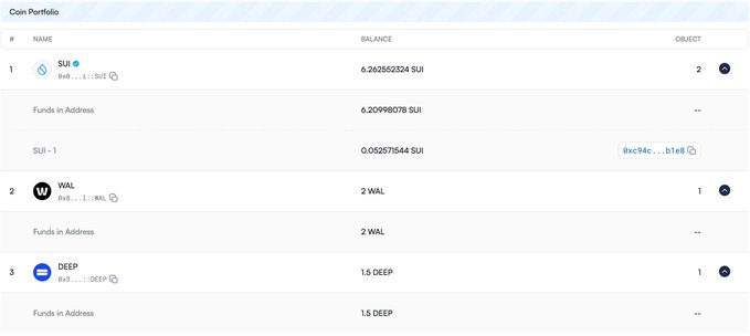 A Coin Portfolio table showing a Sui wallet holding 6.262552324 SUI (6.20998078 in "Funds in Address" plus 0.052571544 in object SUI-1), 2 WAL, and 1.5 DEEP, illustrating the multisig pain point where splitting balances across multiple objects/coins requires re-signing queued transactions whenever the gas coin's version changes on-chain.