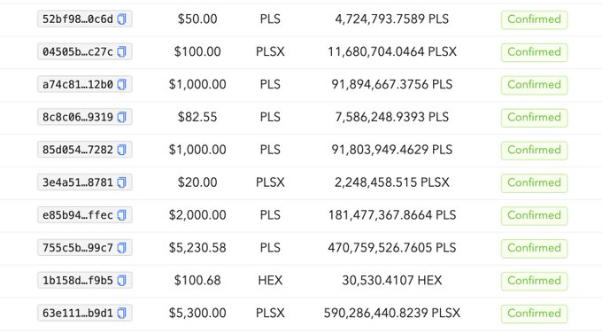 A transaction history table displays various confirmed cryptocurrency purchases, including multiple entries for PLS (PulseChain) and PLSX tokens in different USD amounts such as $50, $100, $1,000, and $5,230.58.