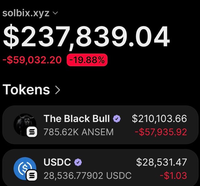 The image shows a portfolio tracker for wallet solbix.xyz displaying a total value of $237,839.04, down 19.88% (-$59,032.20) for the day. The holdings include 785.62K ANSEM (The Black Bull token) worth $210,103.66 and 28,536.78 USDC worth $28,531.47, which aligns with the post claiming $8,080 was turned into ~$259K profit with $58,100 already sold and $209,500 still held.