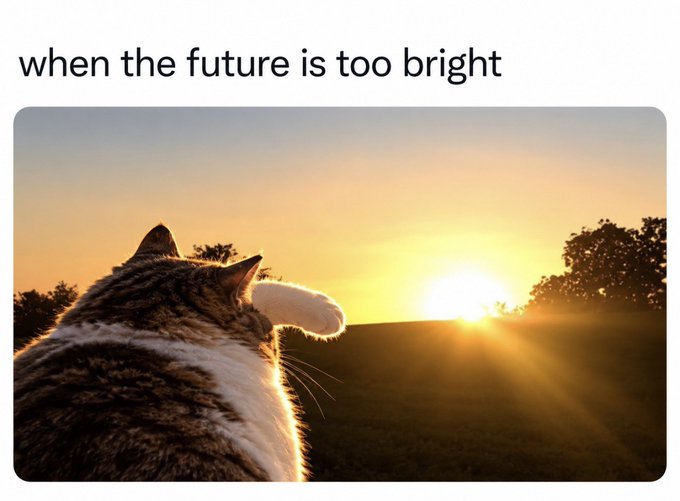 A cat is silhouetted in profile as it gazes toward a sunset on the horizon, accompanied by the text 'when the future is too bright.'