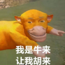 A cartoon orange cow with a content expression, with Chinese text overlay that translates to 'I was born, let me die', referencing a meme from the animated film 'Coco'.