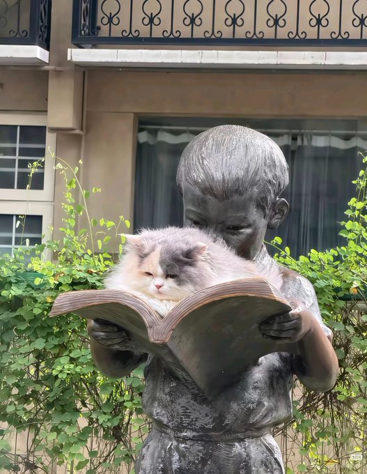 A gray and white cat rests on an open book held by a bronze statue of a young boy reading, situated in a garden setting in front of a building with a wrought-iron balcony.