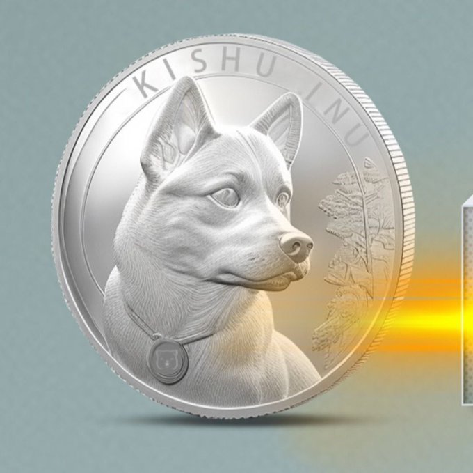 ursa shibai coin, a silver-colored dog head with black eyes and nose, is depicted against a light blue background.