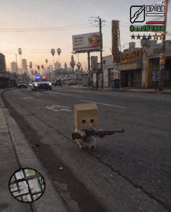 A video game screenshot showing a small cat wearing a cardboard box on its head and holding a large gun on a city street, with a wanted star level of 6 and $00250350 in the HUD.