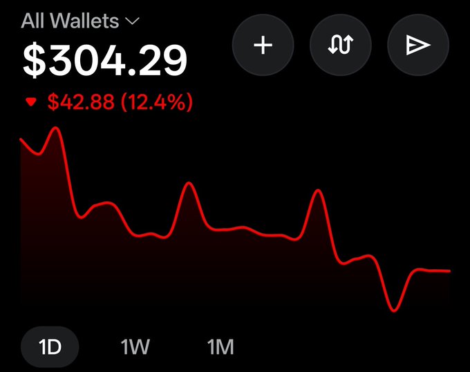 A cryptocurrency wallet app screenshot shows a balance of $304.29 with a red downward trend graph indicating a $42.88 (12.4%) loss over 1 day.