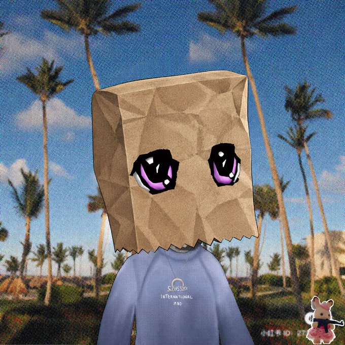 A character wearing a brown paper bag over their head featuring anime-style purple eyes, dressed in a blue 'SkySea International M50' sweatshirt, standing against a backdrop of palm trees.