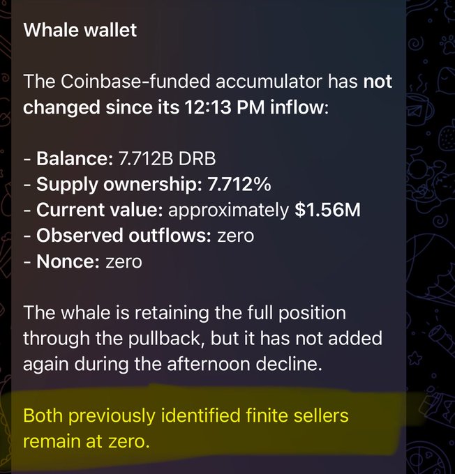 The image shows a "Whale wallet" update revealing a Coinbase-funded accumulator holding 7.712B DRB (7.712% of supply, ~$1.56M) unchanged since a 12:13 PM inflow, with zero outflows and zero nonce, while both finite sellers remain at zero. This on-chain data supports the post's bullish claim that no sellers are positioned to suppress $DRB, setting up conditions for a potential short squeeze.