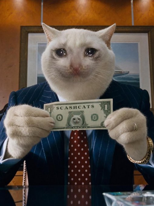 A white cat in a pinstripe suit and polka-dot tie holds up a "$CASHCATS" dollar bill featuring a cat portrait, fitting the post's "gcashcat cashcats" caption about a cat-themed cash meme.