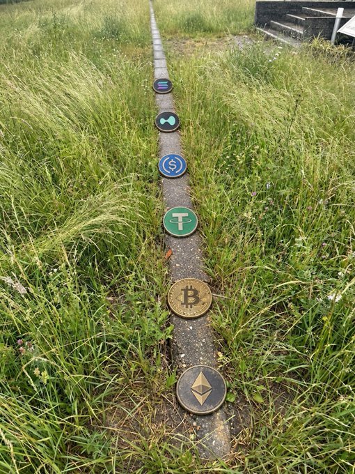 Six cryptocurrency coins (SOL, MATIC, SUI, USDT, BTC, and ETH) are arranged in a line along a concrete path surrounded by grass.