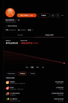 A mobile screen showing cryptocurrency/token information for 'Work2020' on the Solana network, displaying a balance of $173,818.63, a price of ~$88,247.14, and token holders including ASENA, ANAK, SOLANAX, and DRIVE.