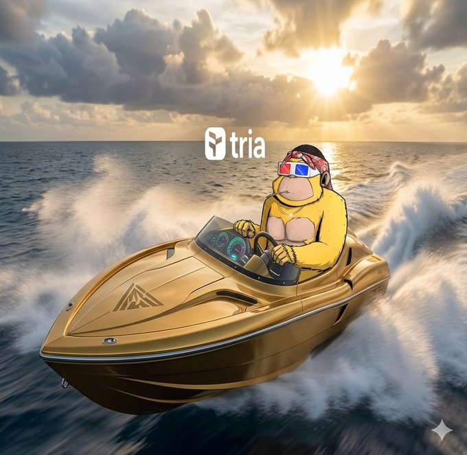 The image features a cartoon monkey driving a boat, with the word "Tria" written above his head. The background of the image shows an ocean scene at sunset, creating a serene atmosphere. There are no texts or other objects present in the image, and the focus is solely on the cartoon monkey and its boat adventure.