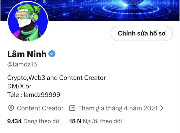 A Twitter/X profile page for 'Lâm Ninh' (@lamdz15), identified as a 'Crypto, Web3 and Content Creator' with a green-haired character as the avatar.