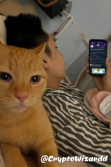 An orange tabby cat poses for a close-up selfie while its owner, lying in bed in a zebra-striped shirt, scrolls through Twitter on their phone. The caption "Gn friends. Time to sleep" ties perfectly to the cozy bedtime scene, with the watermark "@CryptoWizarrd" visible at the bottom.