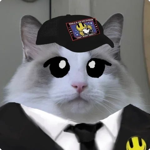 A close-up of a Ragdoll cat with edited large cartoon eyes, wearing a black cap with a 'Rebels Black Ops Division' Skull Squadron patch and a suit with a yellow smiley face badge.