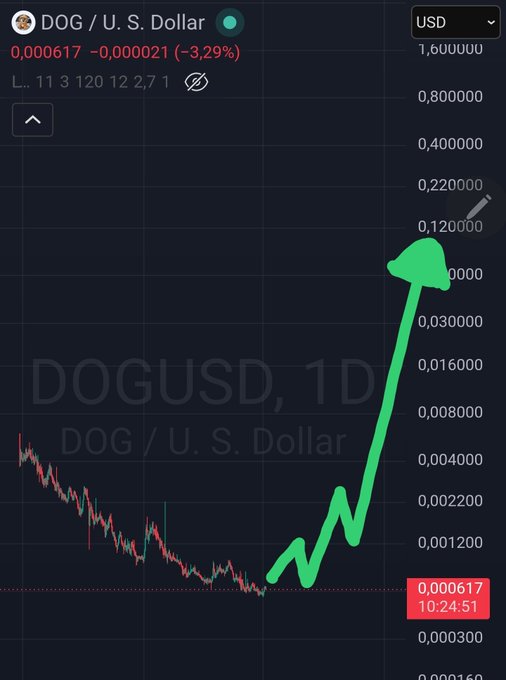 A daily DOG/USD chart shows Dogecoin's price at $0.000617, down 3.29% (-$0.000021), with a hand-drawn green arrow pointing to an upward price trajectory toward the $0.12 mark—visually supporting the post's claim that "$DOG at $1 is inevitable."