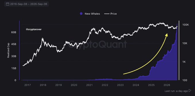 A CryptoQuant chart from @cryptorover showing 'New Whales' (purple area) and 'Price' (white line) from 2017 to 2026, with a yellow arrow highlighting an upward trend.
