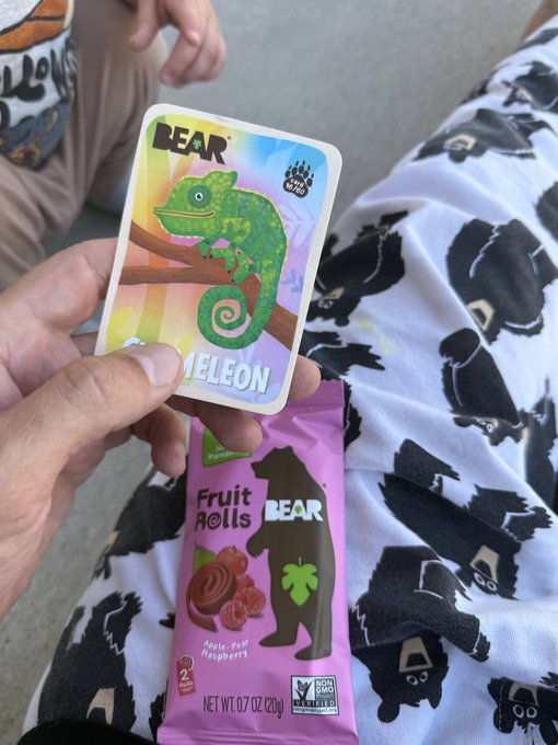 A hand holds a 'BEAR' brand chameleon trading card above a purple package of 'Fruit Rolls BEAR' apple-kiwi-raspberry flavored snacks, with bear-patterned fabric visible in the background.