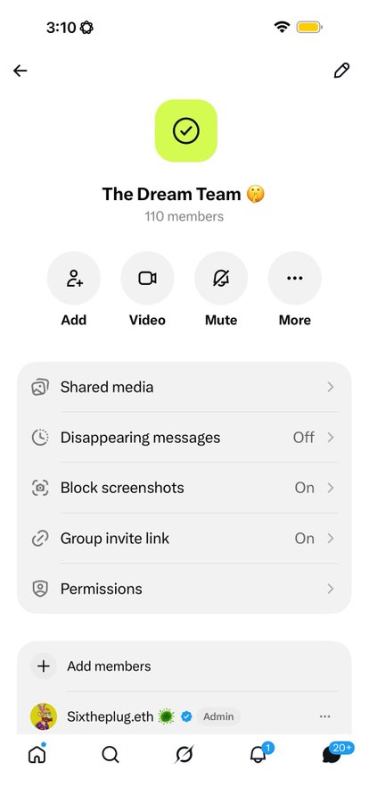 A group chat settings page on a messaging app titled 'The Dream Team' with 110 members, showing options like Add, Video, Mute, and various privacy settings.