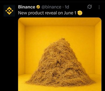 The image features a large pile of hay, which appears to be made from straw or dried grass. The hay is situated inside a yellow box, creating an interesting contrast between the natural material and its surroundings. The text "Binance" and "BNB" are also present in the image, suggesting that this might be related to a social media post about cryptocurrency or financial news.